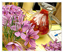 زعفران